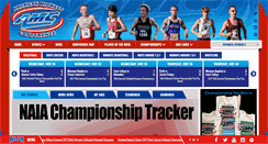 Desktop Screenshot of amcsportsonline.com